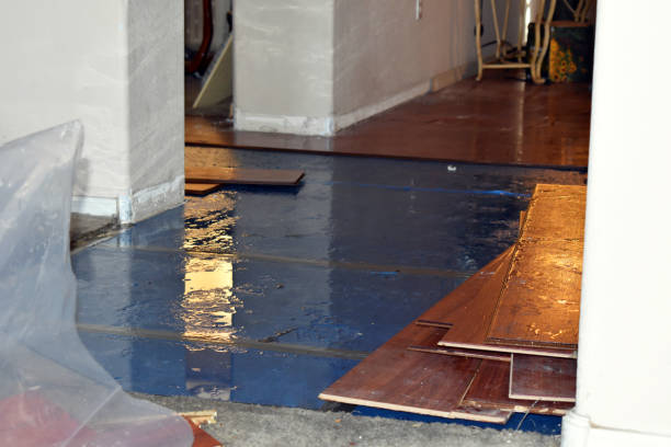 Professional Flood Damage Repair technician working in Harrison, ME